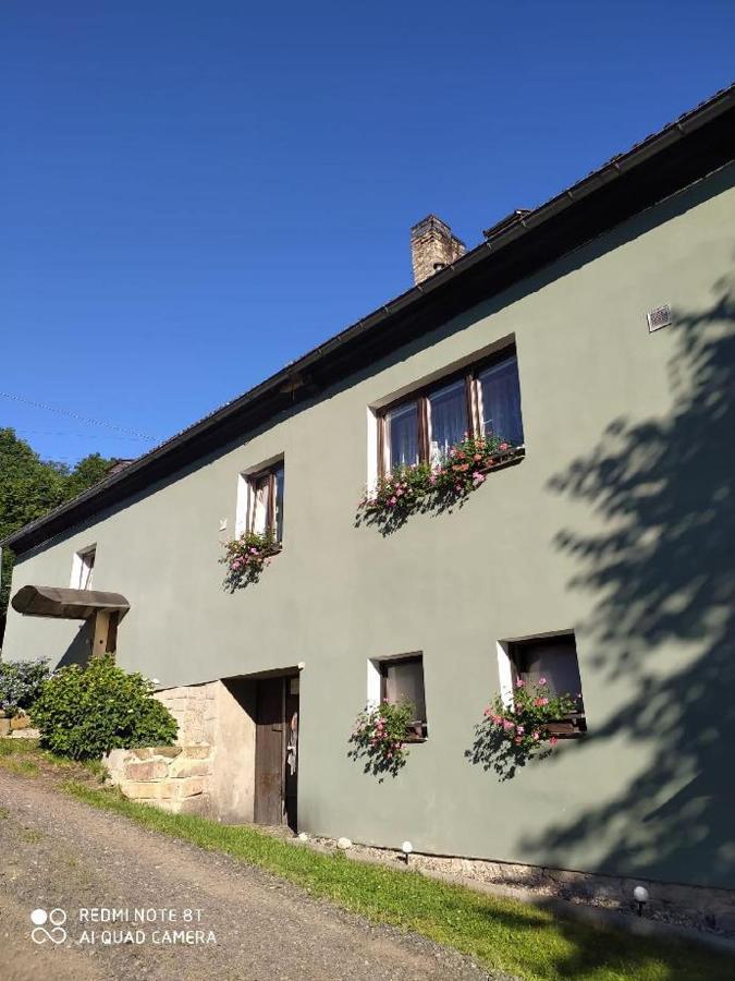 Penzion u Lípy Decin Exterior foto